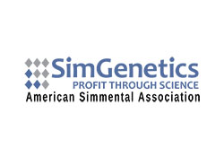 American Simmental Association